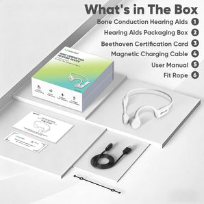 Waterfall Dolphin Bone Conduction Hearing Device